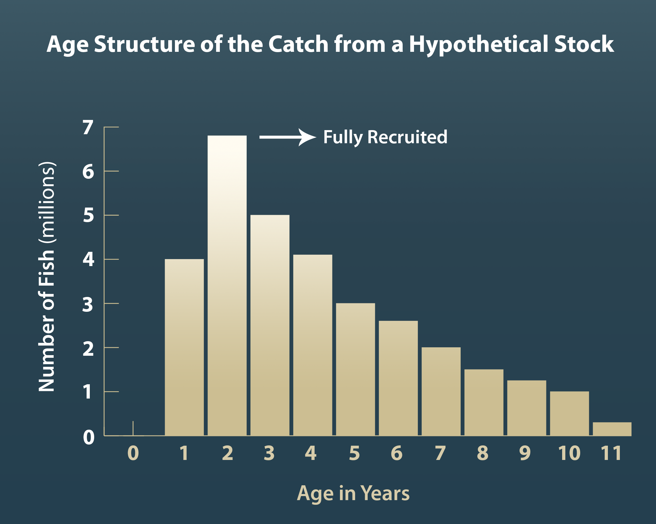 Fishery Management Guide — Part 5: Assessing the Age of Stock