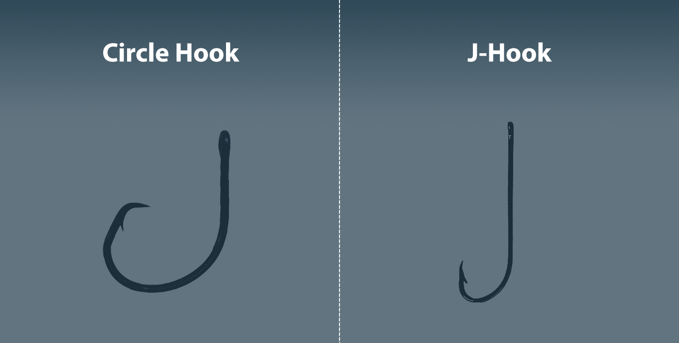 PDF) Influence of Circle Hook Size on Hooking Efficiency, Injury, and Size  Selectivity of Bluegill with Comments on Circle Hook Conservation Benefits  in Recreational Fisheries