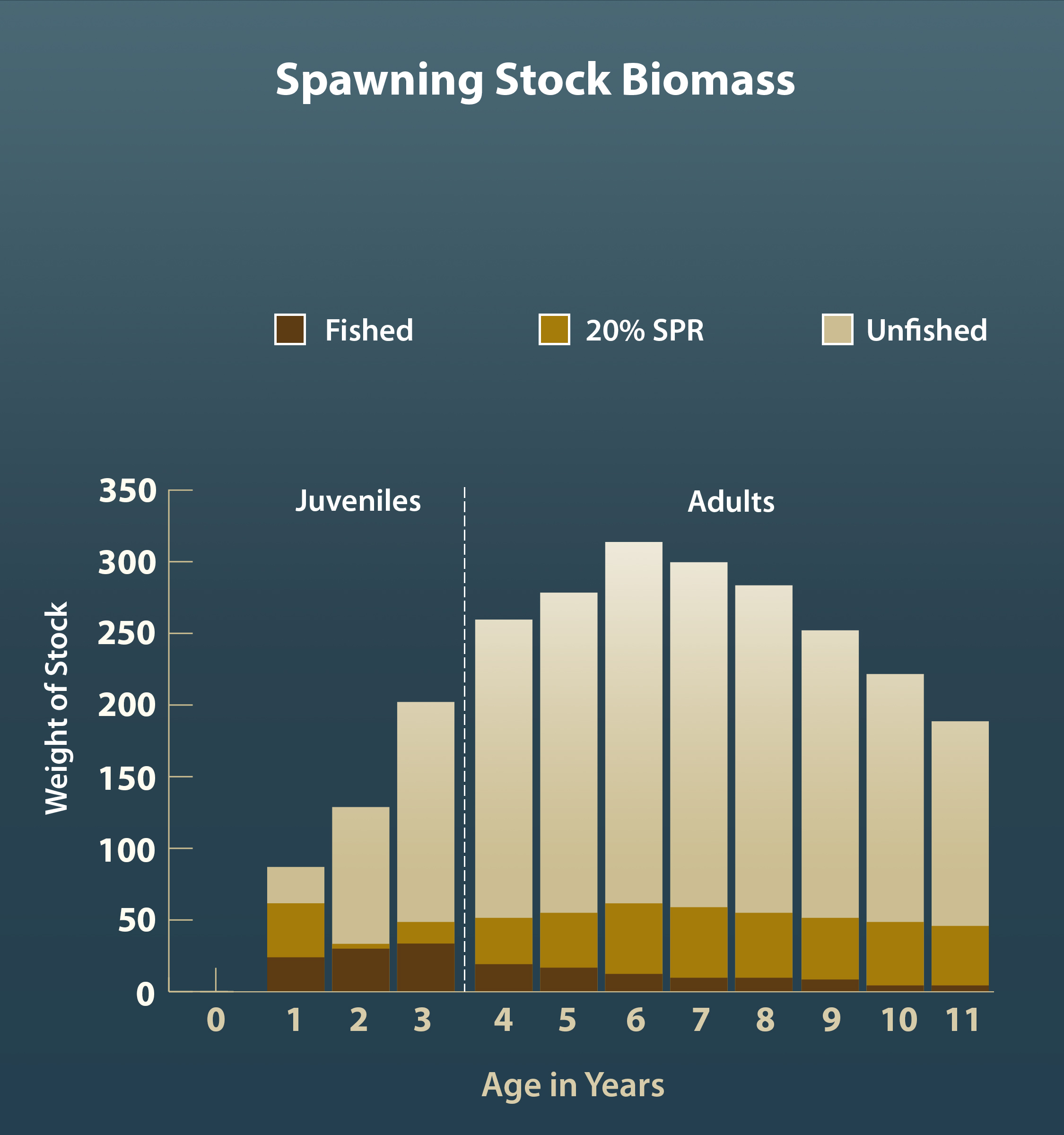 This graph shows fisheries can be healthy in as few as ten years